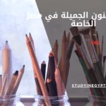 كليات الفنون الجميلة في مصر الخاصة