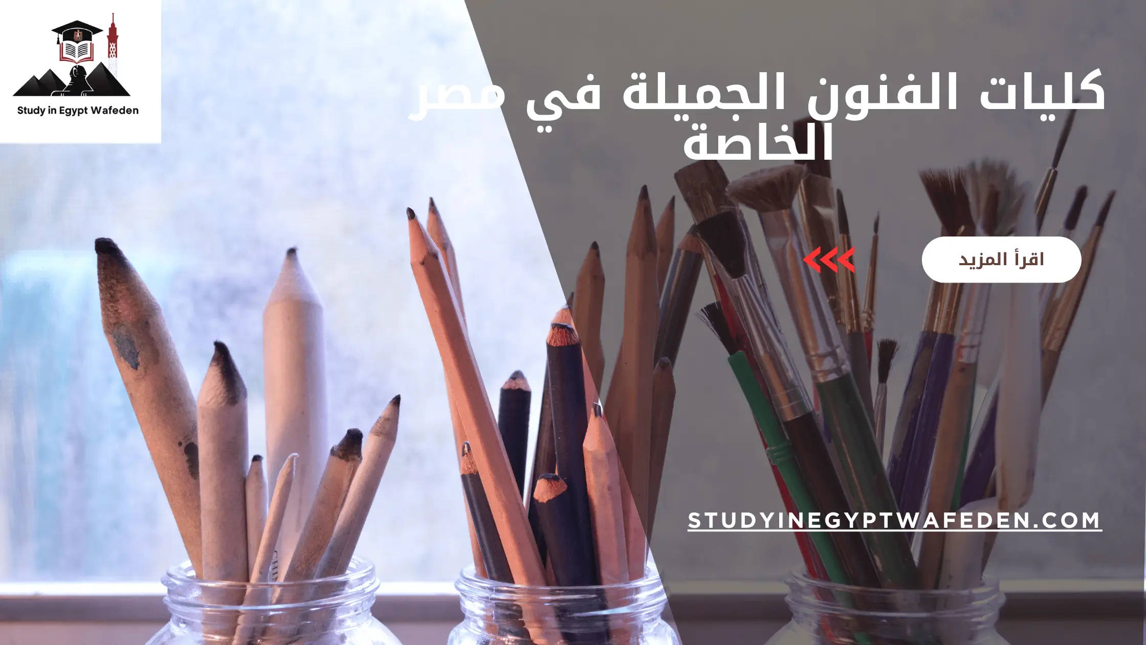 كليات الفنون الجميلة في مصر الخاصة