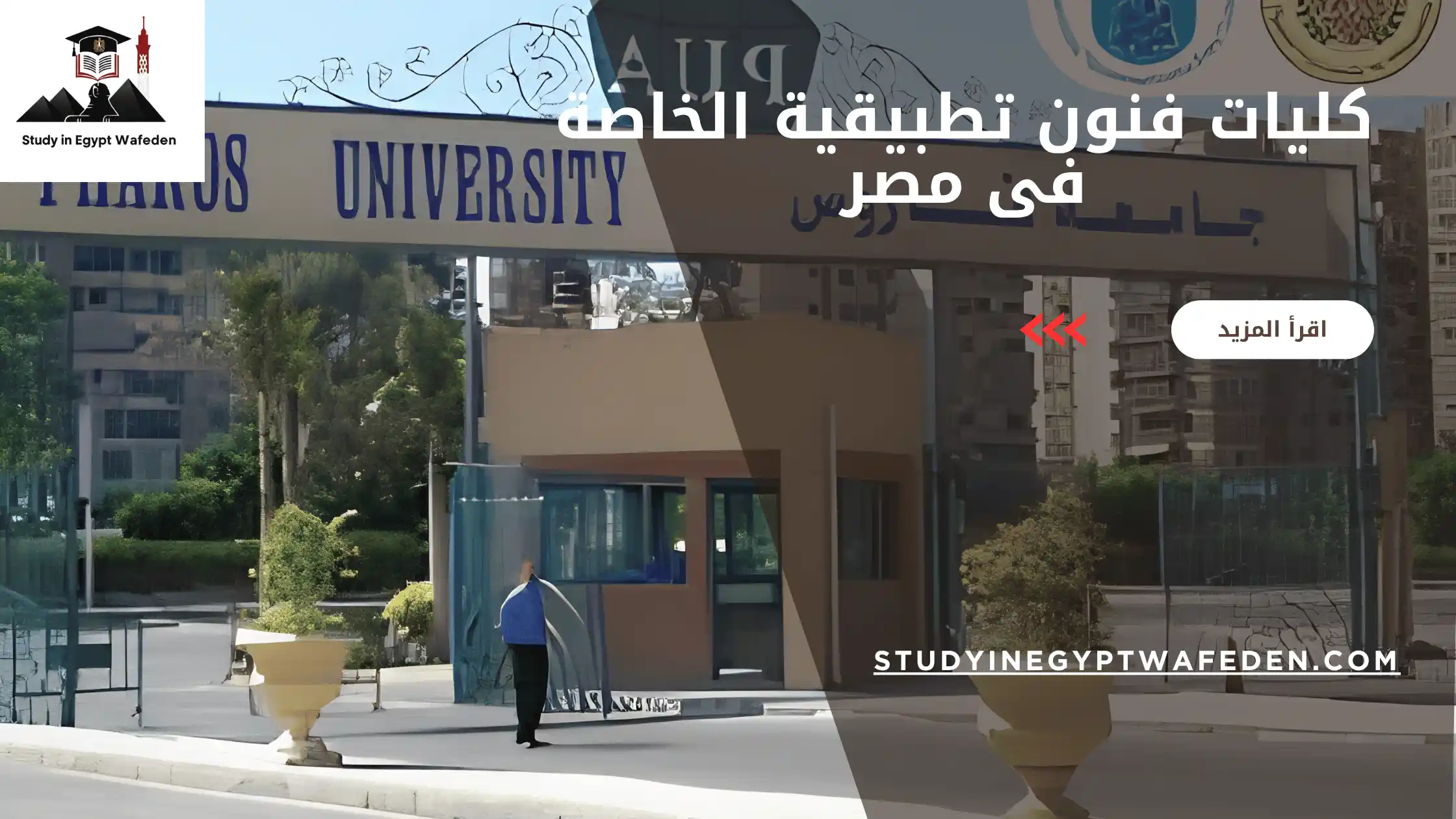 كليات فنون تطبيقية الخاصة فى مصر