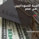 منح دراسية للسودانيين في مصر