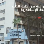 نظام الدراسة في كلية الطب جامعة الإسكندرية