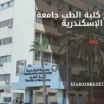 أقسام كلية الطب جامعة الإسكندرية