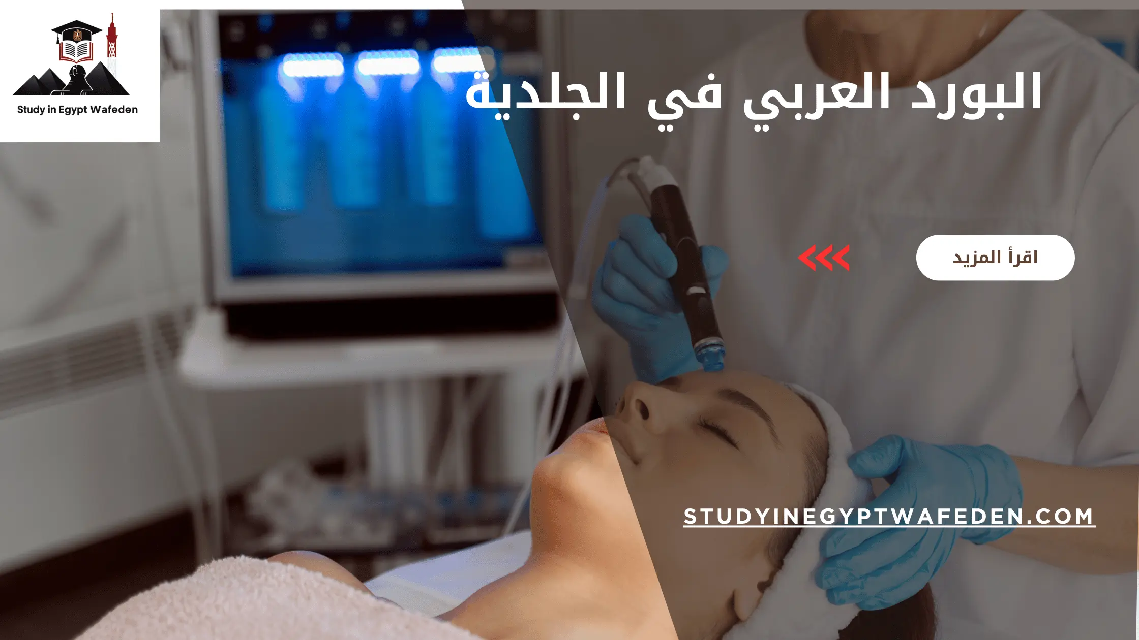 البورد العربي في الجلدية