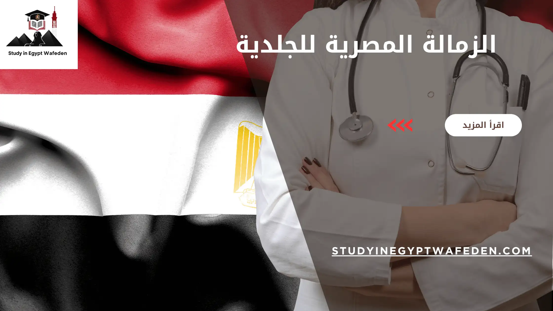 الزمالة المصرية للجلدية
