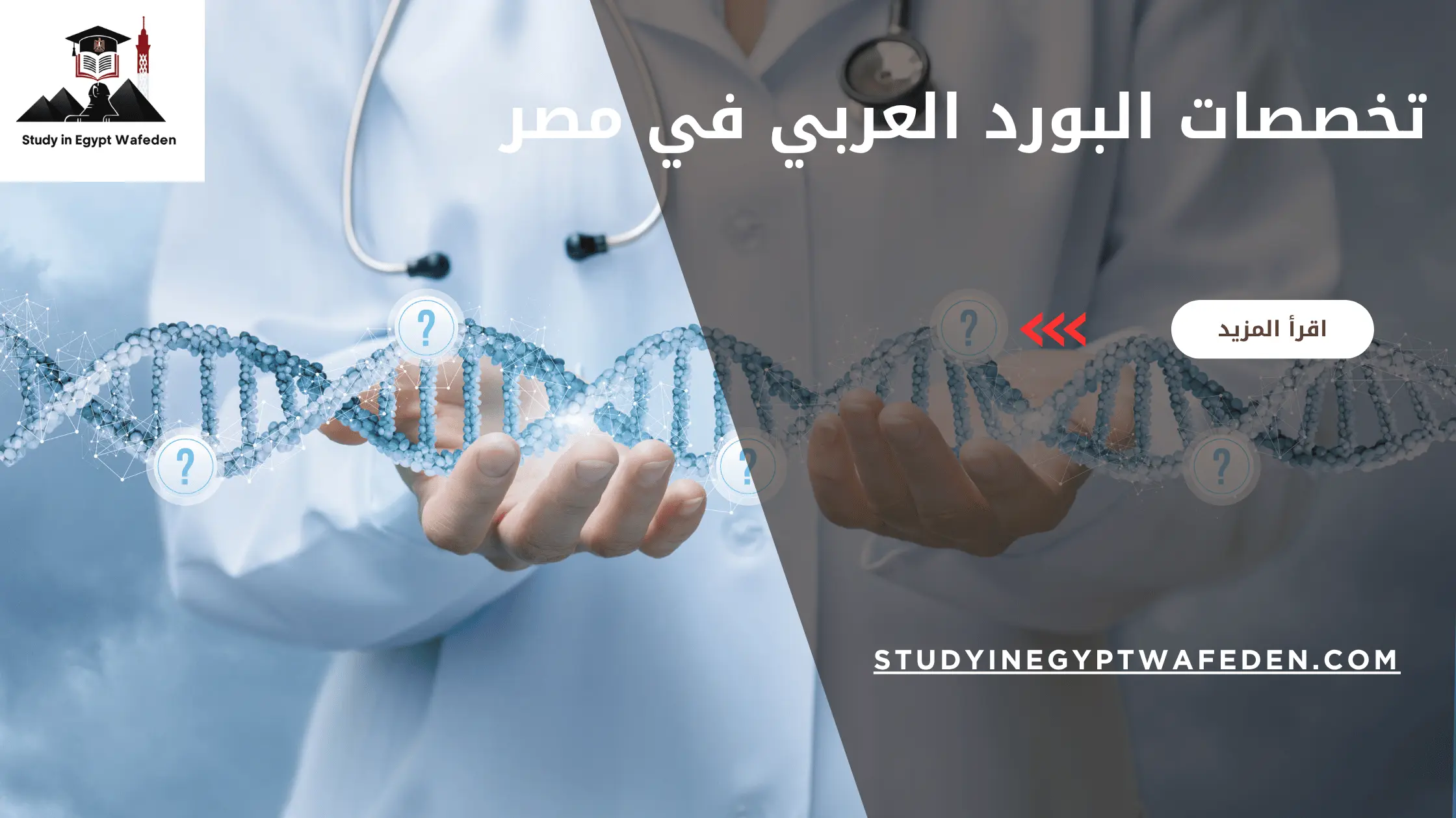 تخصصات البورد العربي في مصر