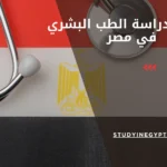 تكاليف دراسة الطب البشري في مصر