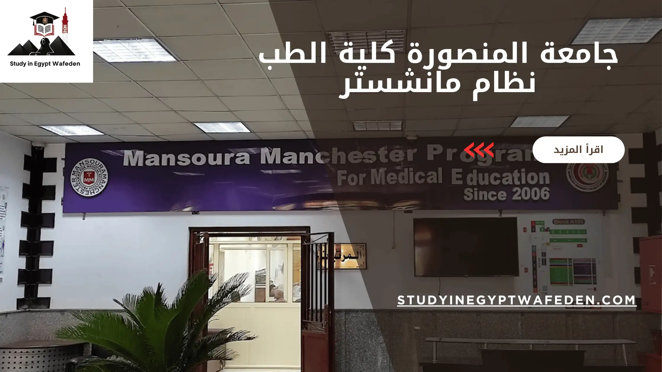 جامعة المنصورة كلية الطب نظام مانشستر