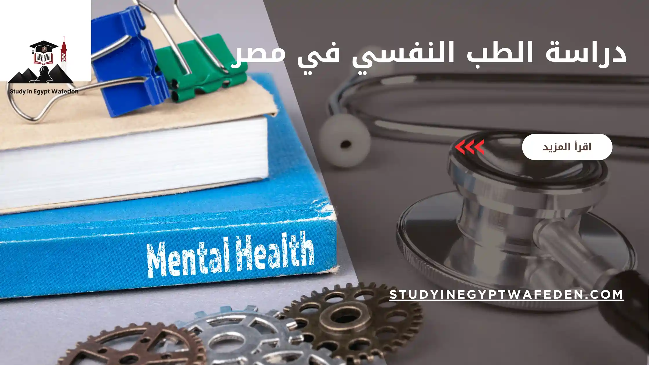 دراسة الطب النفسي في مصر