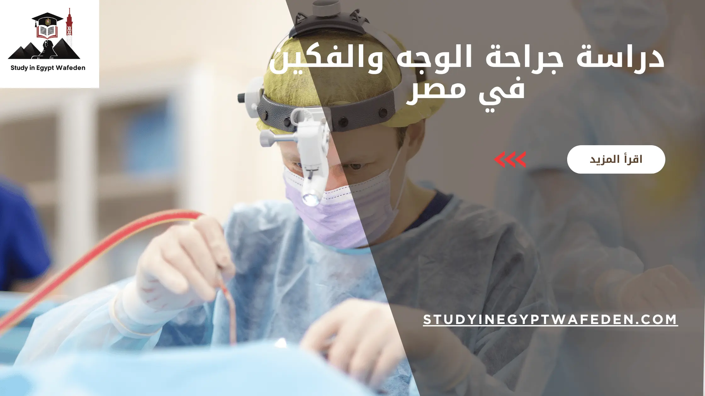 دراسة جراحة الوجه والفكين في مصر