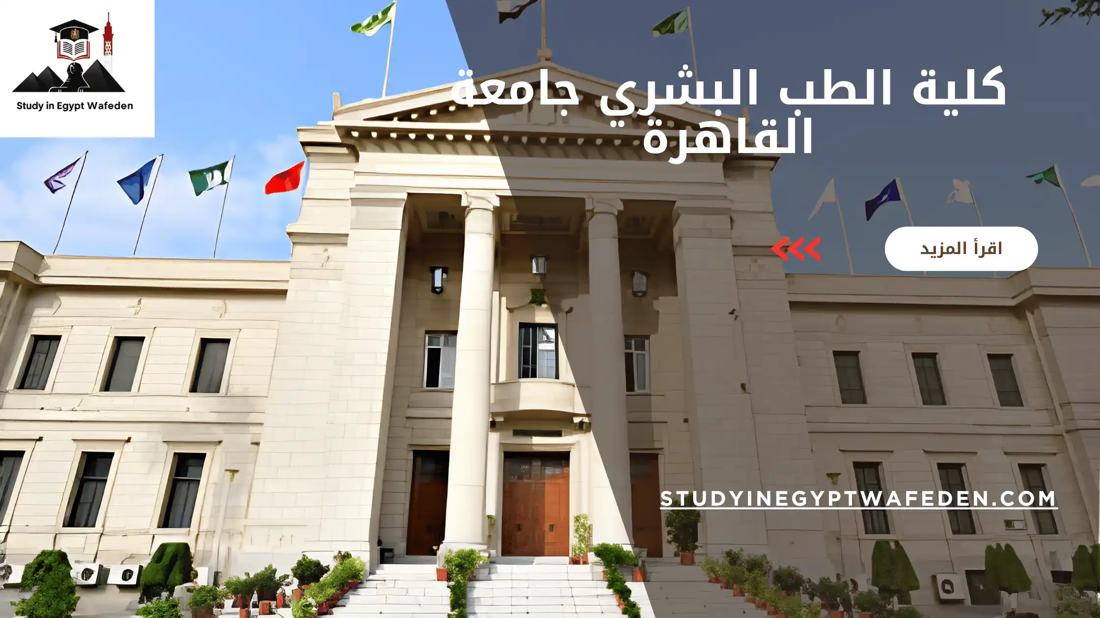 كلية الطب البشري جامعة القاهرة