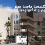 كلية الهندسة جامعة مصر للعلوم والتكنولوجيا