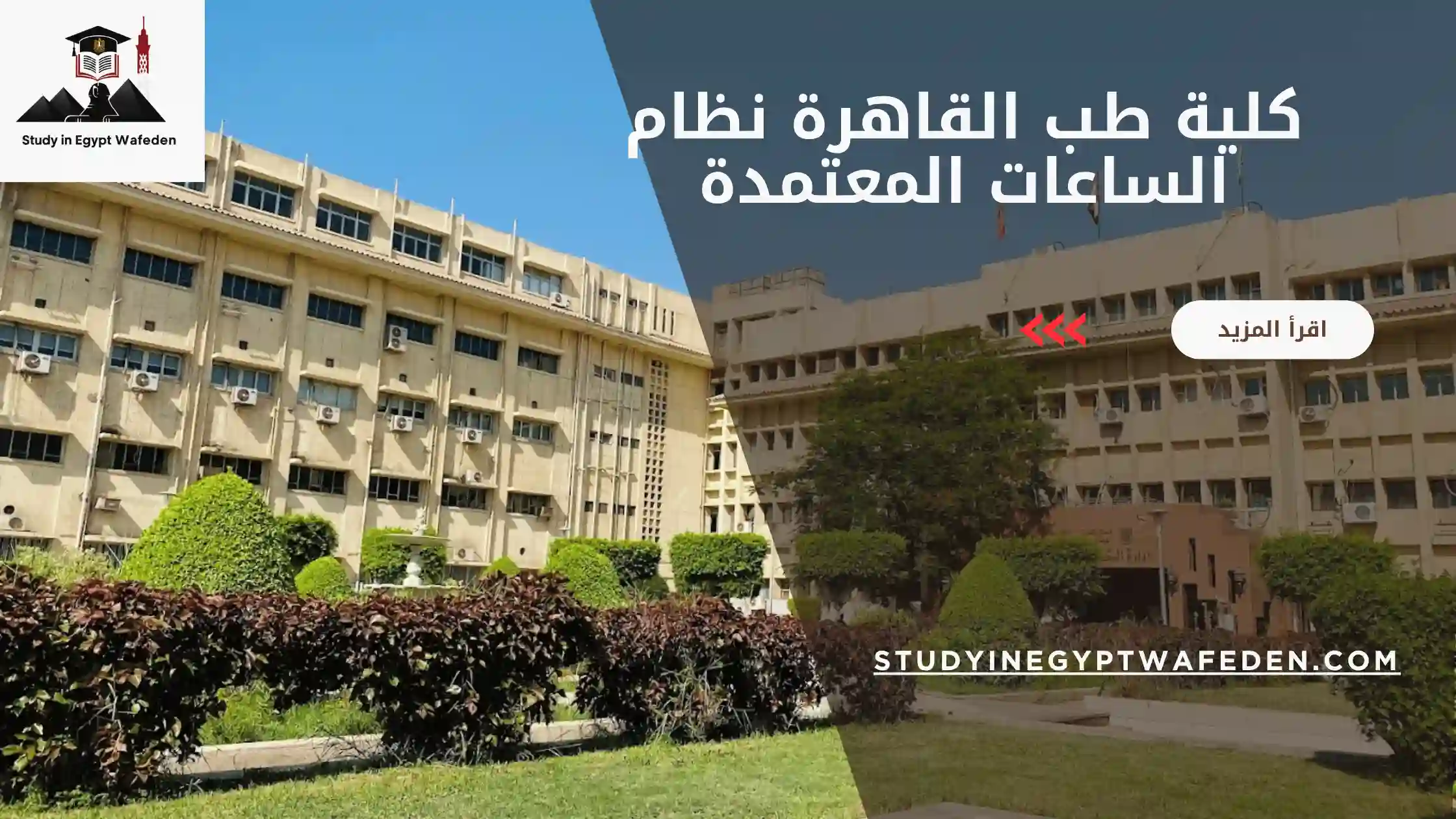 كلية طب القاهرة نظام الساعات المعتمدة