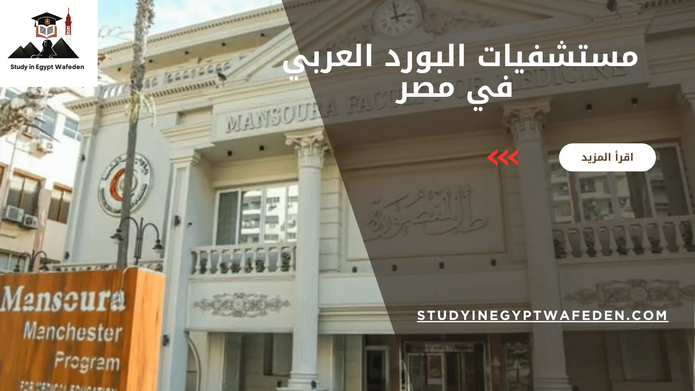 مستشفيات البورد العربي في مصر