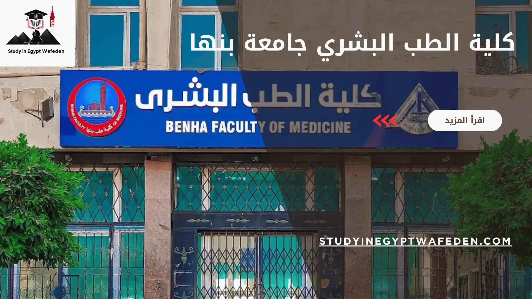 كلية الطب البشري جامعة بنها
