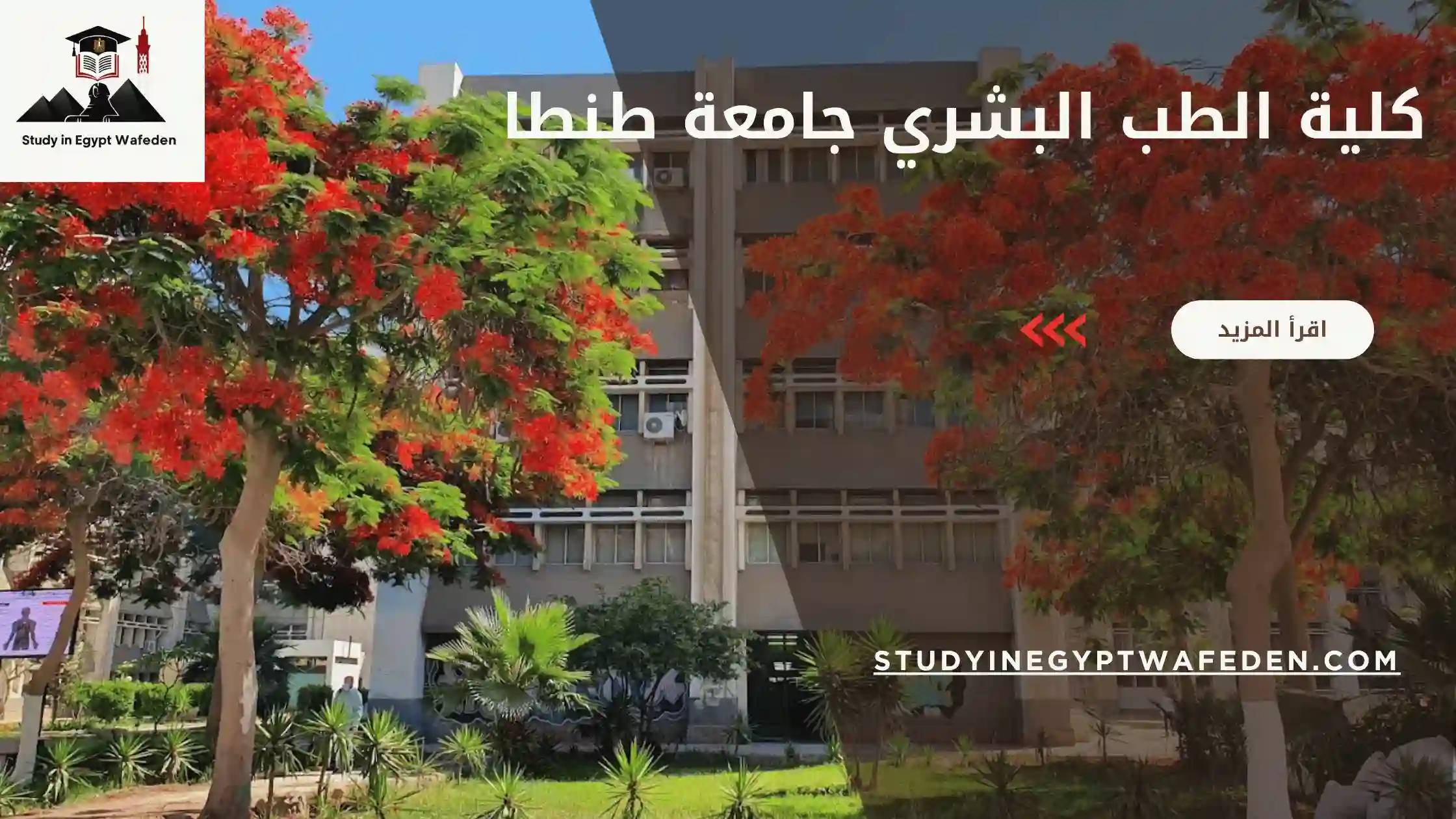 كلية الطب البشري جامعة طنطا