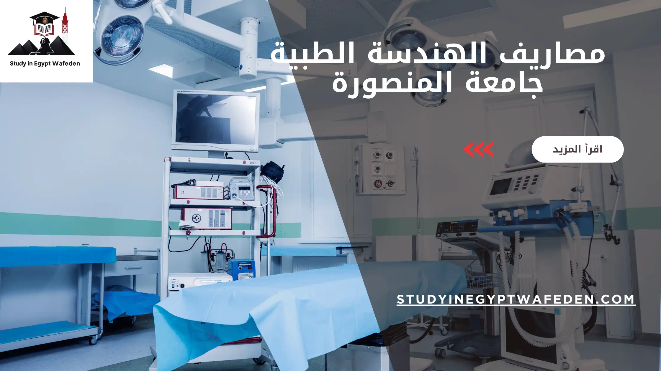 مصاريف الهندسة الطبية جامعة المنصورة