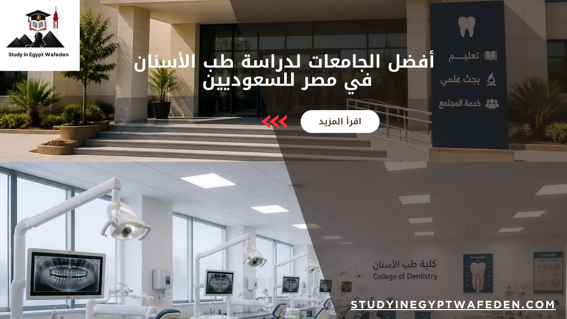 أفضل الجامعات لدراسة طب الأسنان في مصر للسعوديين