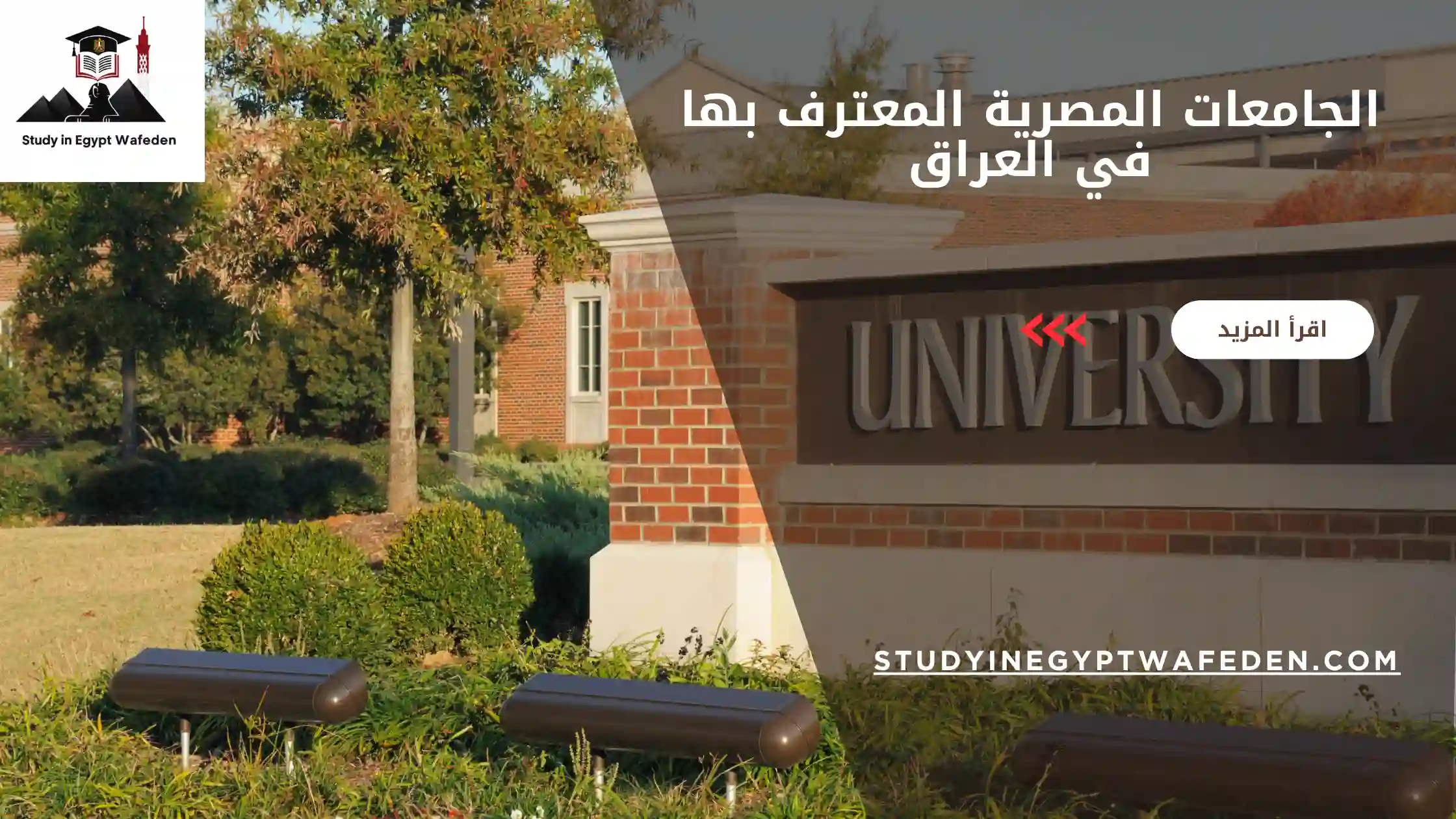 الجامعات المصرية المعترف بها في العراق