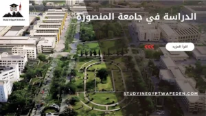 الدراسة في جامعة المنصورة