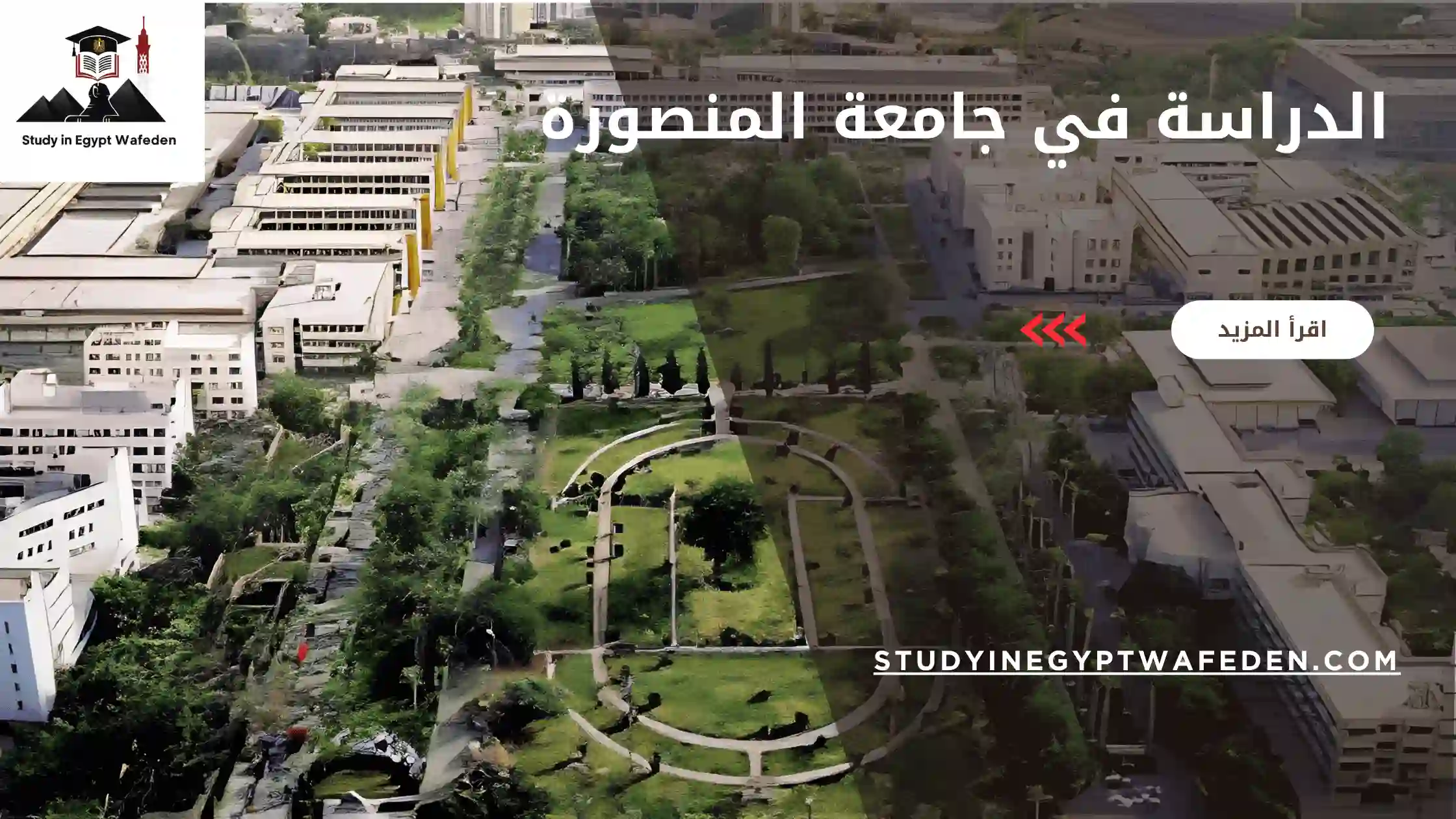 الدراسة في جامعة المنصورة