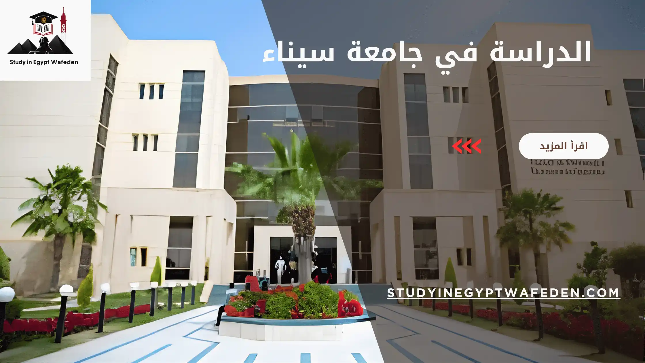 الدراسة في جامعة سيناء