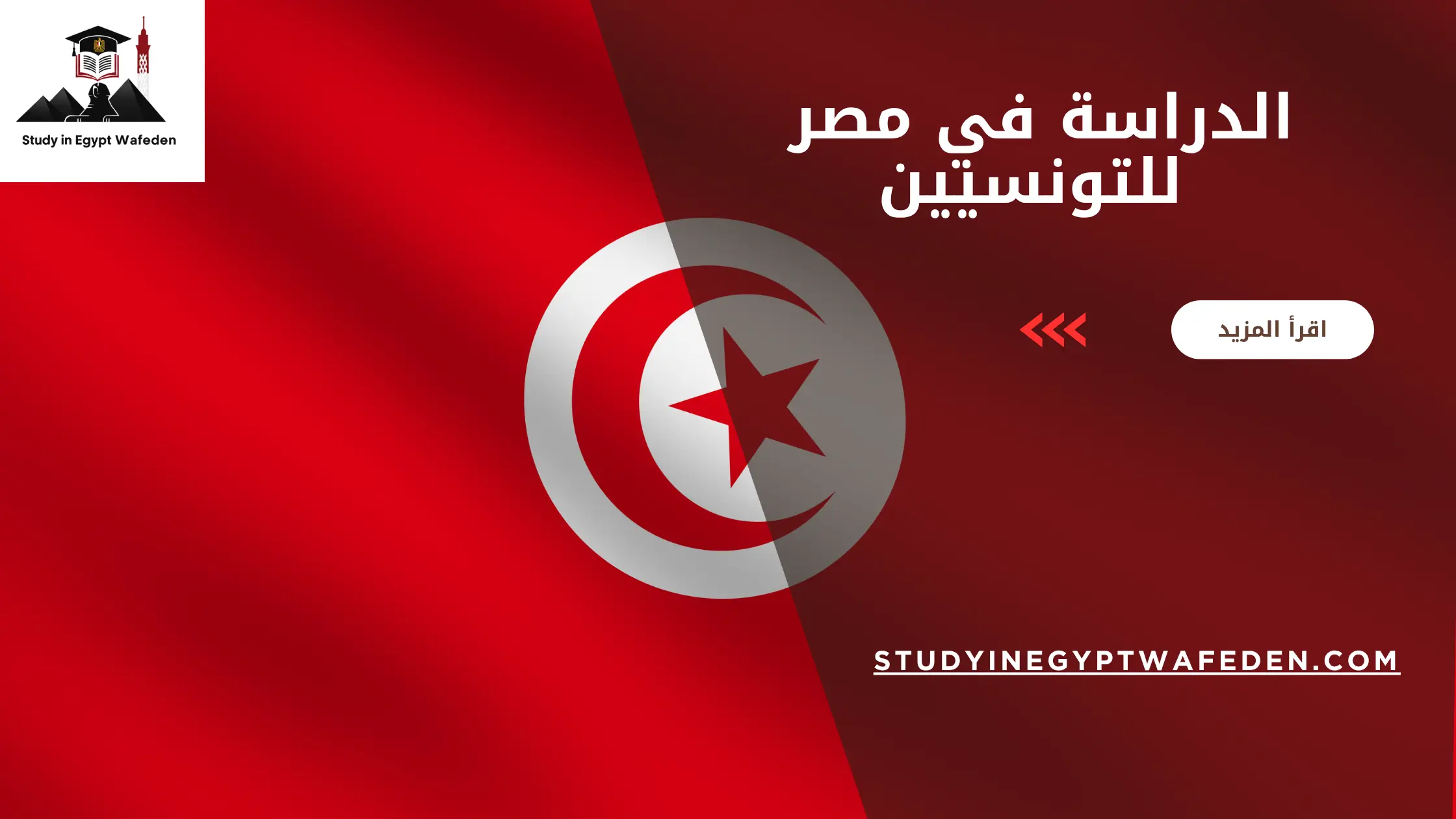 الدراسة في مصر للتونسيين