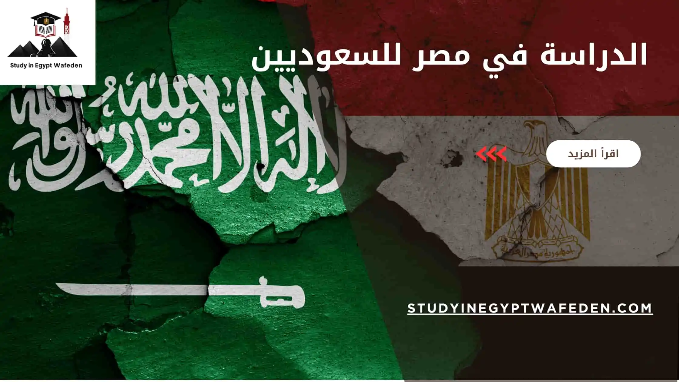 الدراسة في مصر للسعوديين