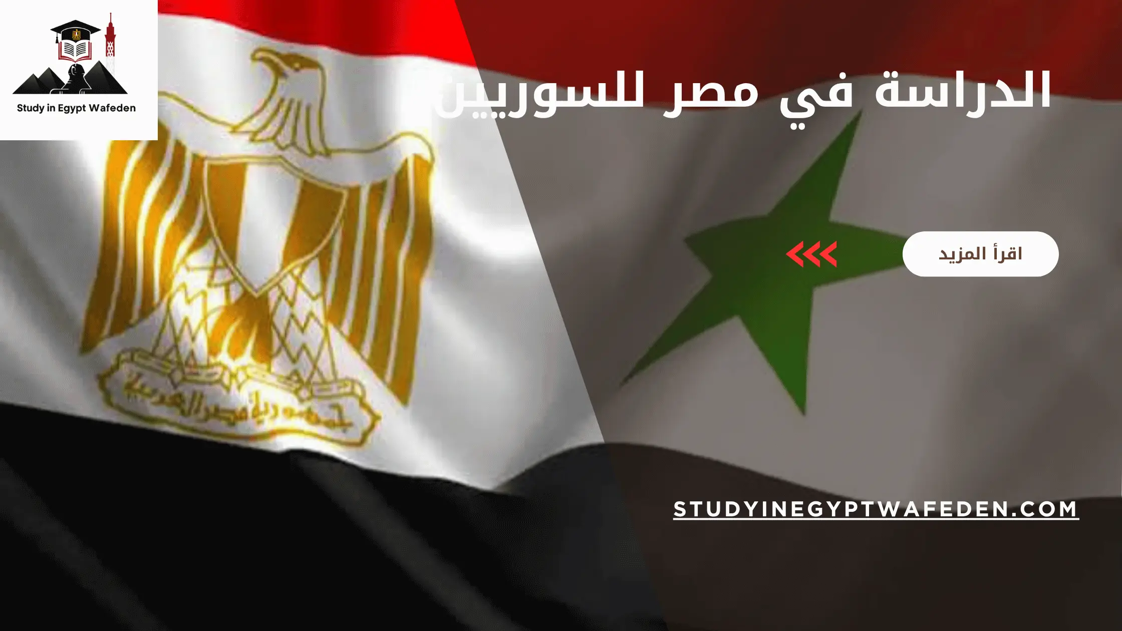 الدراسة في مصر للسوريين