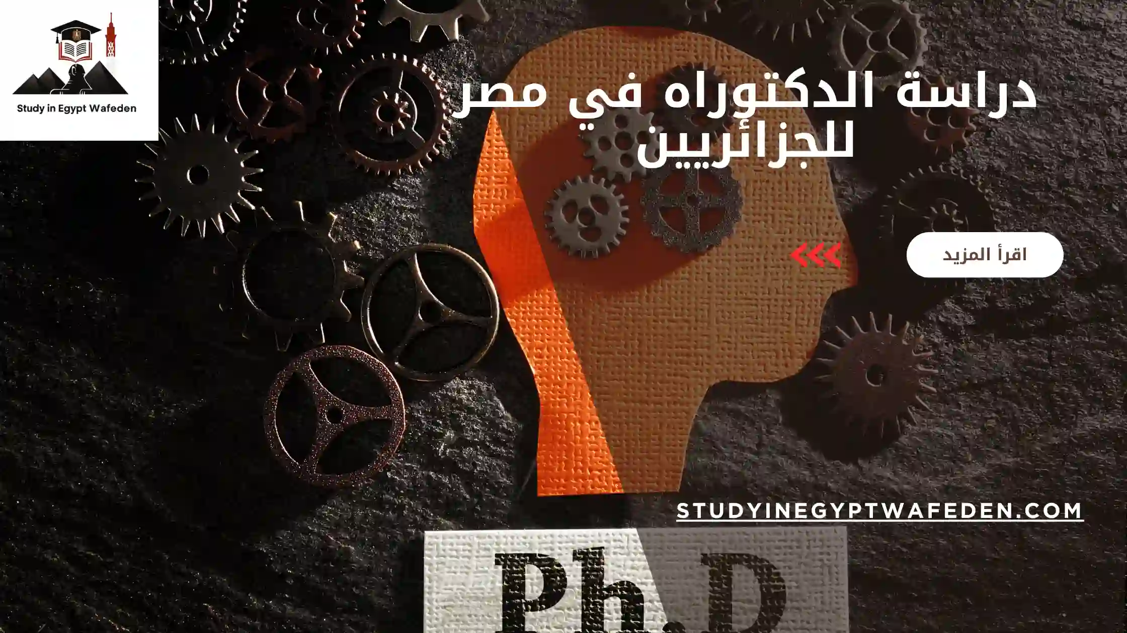 دراسة الدكتوراه في مصر للجزائريين