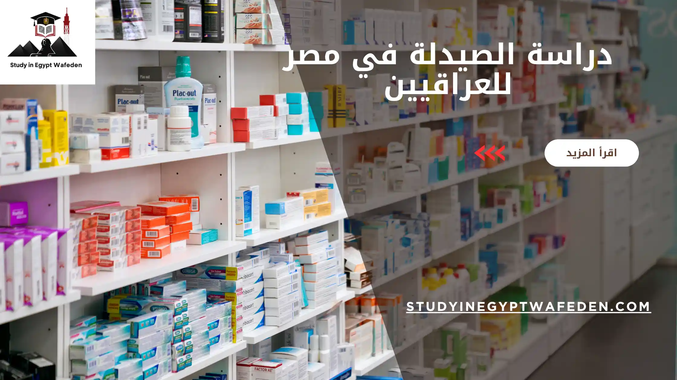 دراسة الصيدلة في مصر للعراقيين