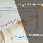 عدد سنوات دراسة الاقتصاد في مصر