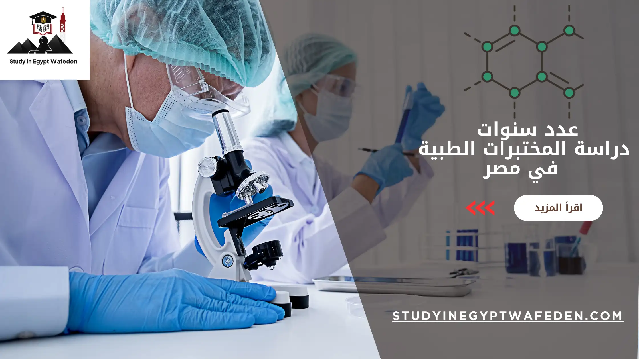 عدد سنوات دراسة المختبرات الطبية في مصر