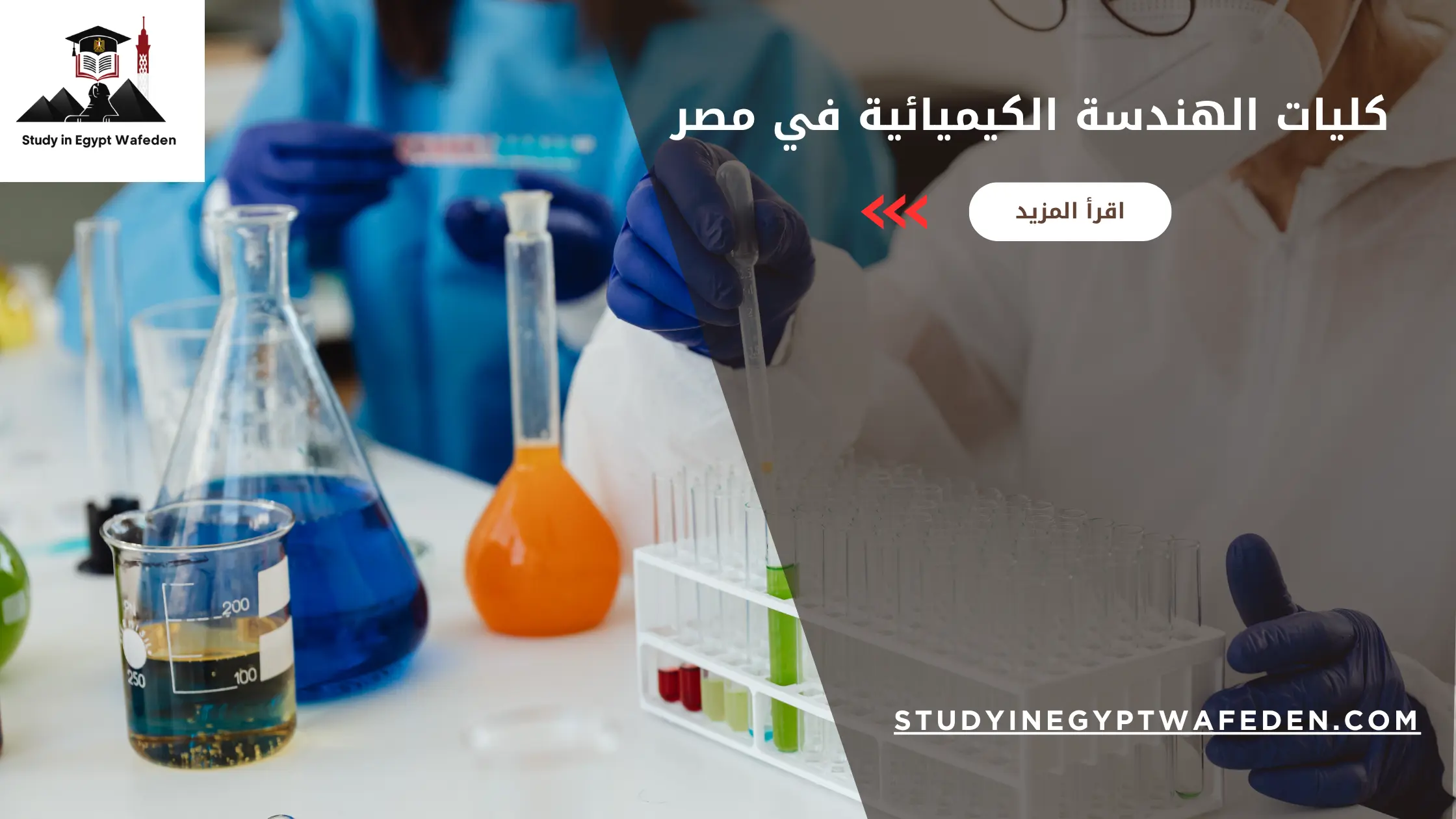 كليات الهندسة الكيميائية في مصر