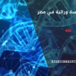 كلية هندسة وراثية في مصر