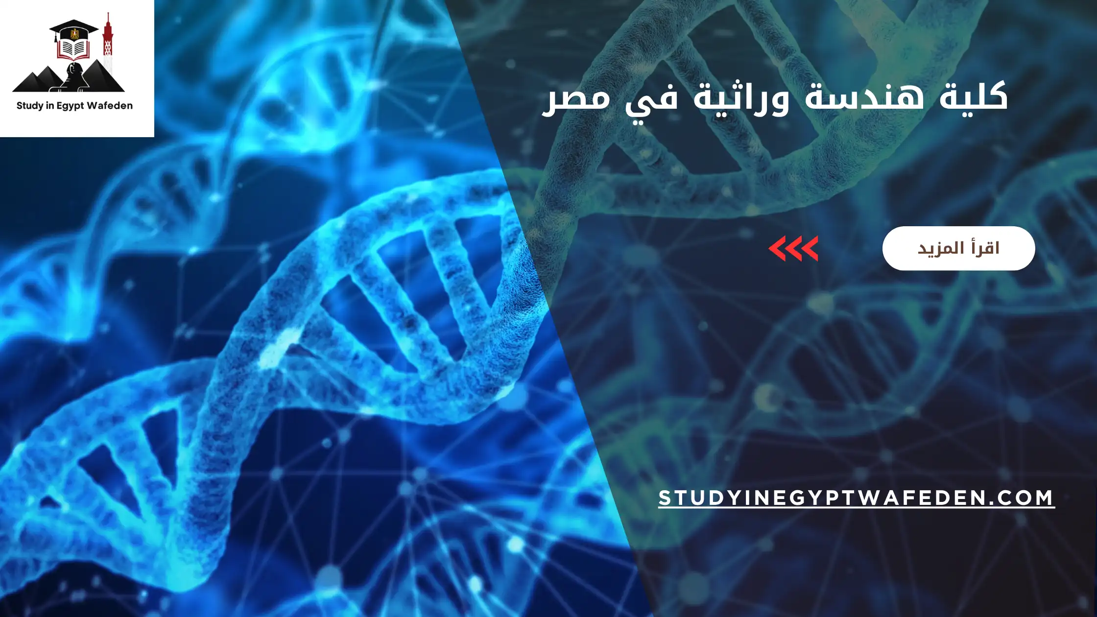 كلية هندسة وراثية في مصر