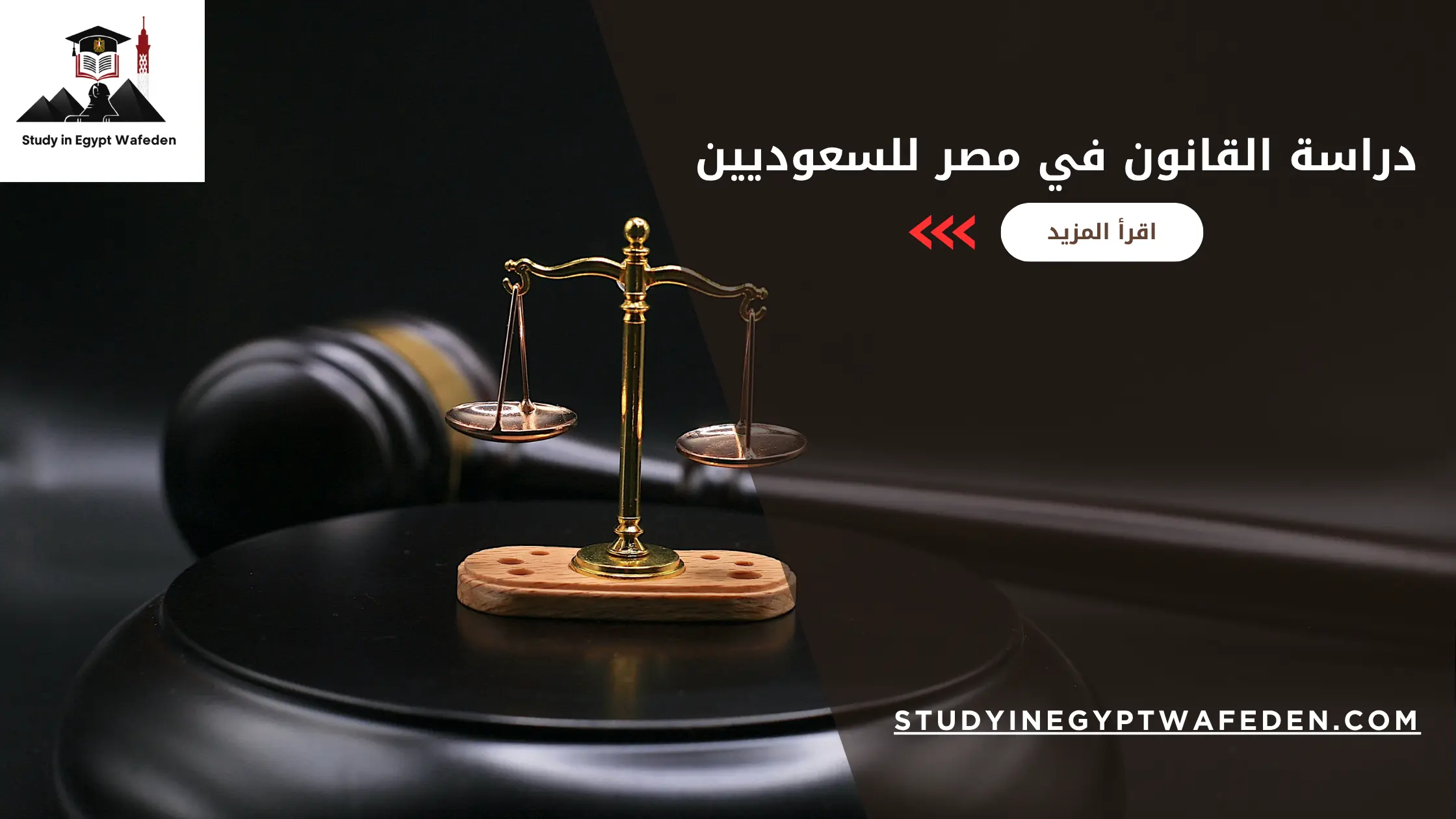 دراسة القانون في مصر للسعوديين
