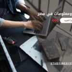 كليات نظم ومعلومات في مصر