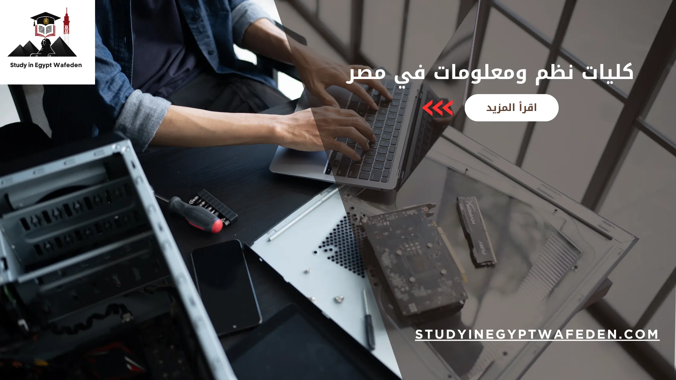 كليات نظم ومعلومات في مصر
