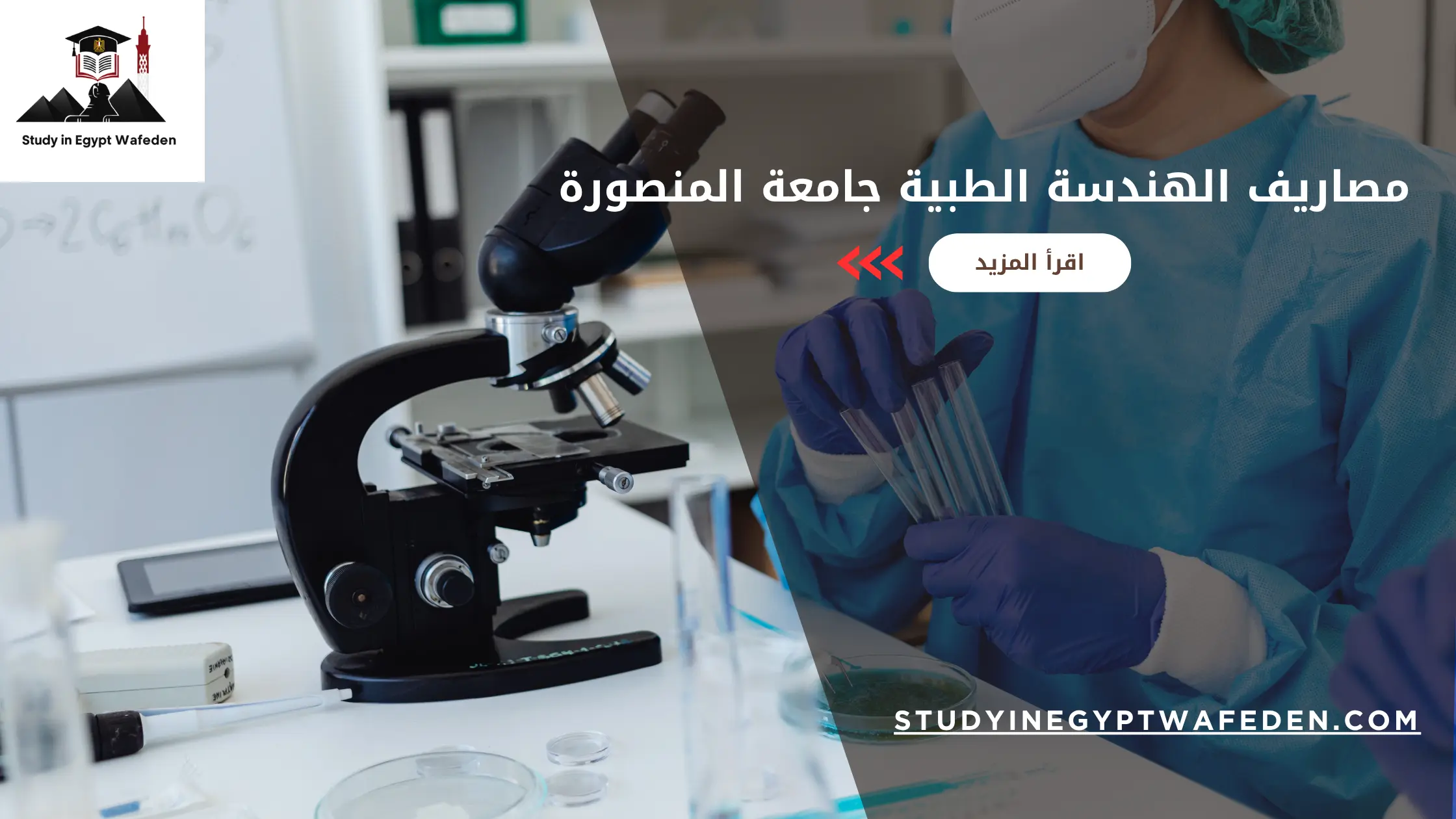 مصاريف الهندسة الطبية جامعة المنصورة