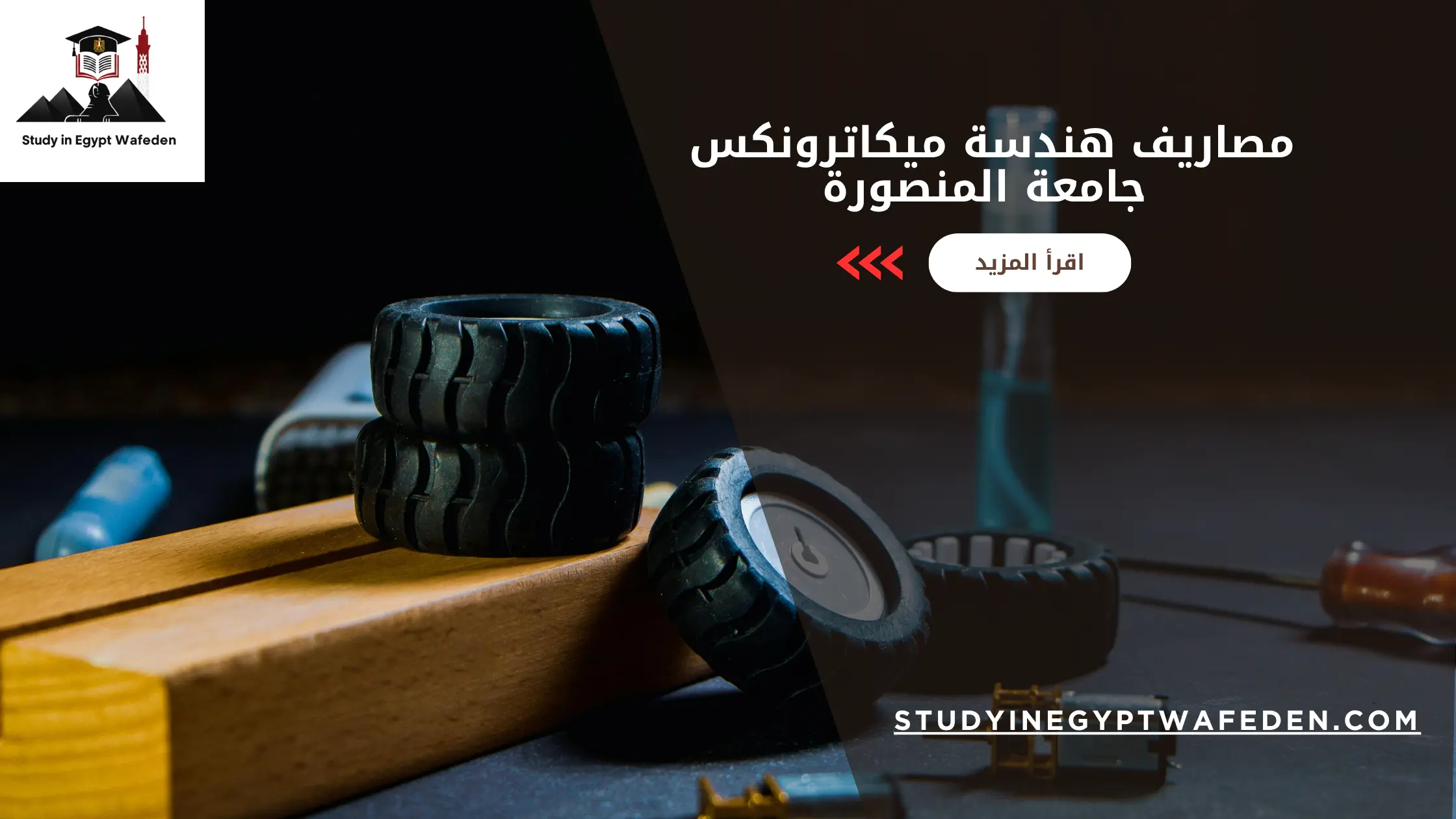 مصاريف هندسة ميكاترونكس جامعة المنصورة