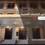 نظام المقاصة في الجامعات المصرية